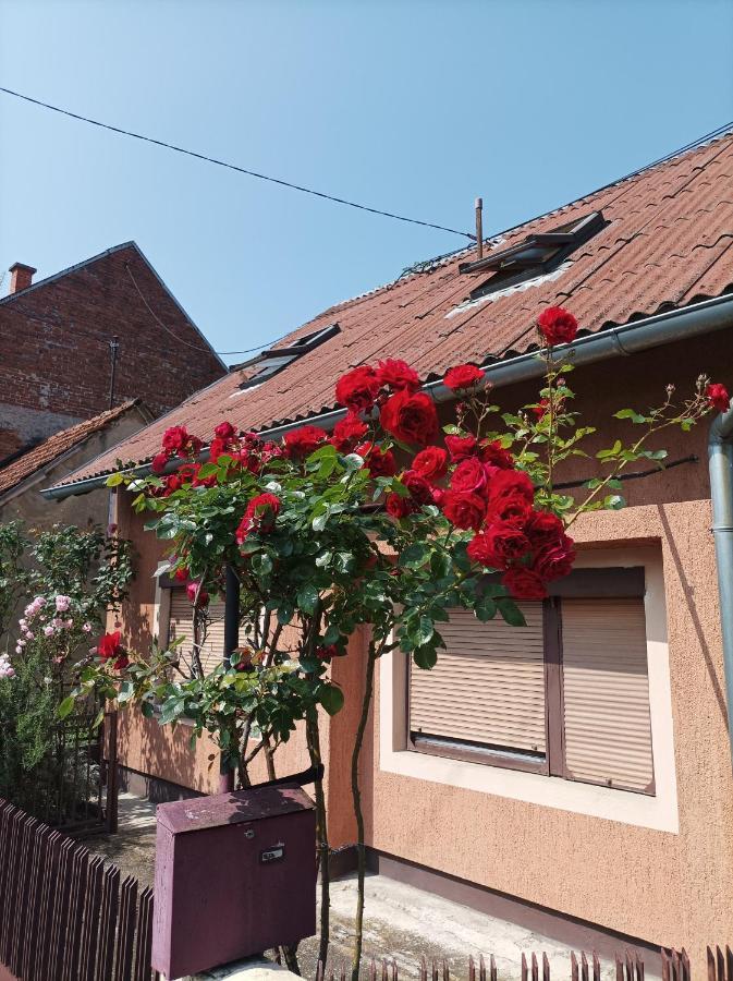 Annabelle Apartamento Zagreb Exterior foto